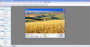 面業(yè)專家面粉廠管理系統(tǒng)V2012官方綠色版 實現(xiàn)高效生產(chǎn)與外圍設備智能管理