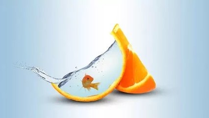 平面設計中的創(chuàng)意趣味合成 橙皮魚缸的PS實現(xiàn)與專業(yè)服務