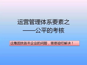 高效運營的基石 經(jīng)典模型、卓越制度與全流程管理